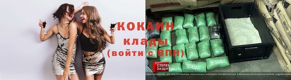 соль ск Абаза