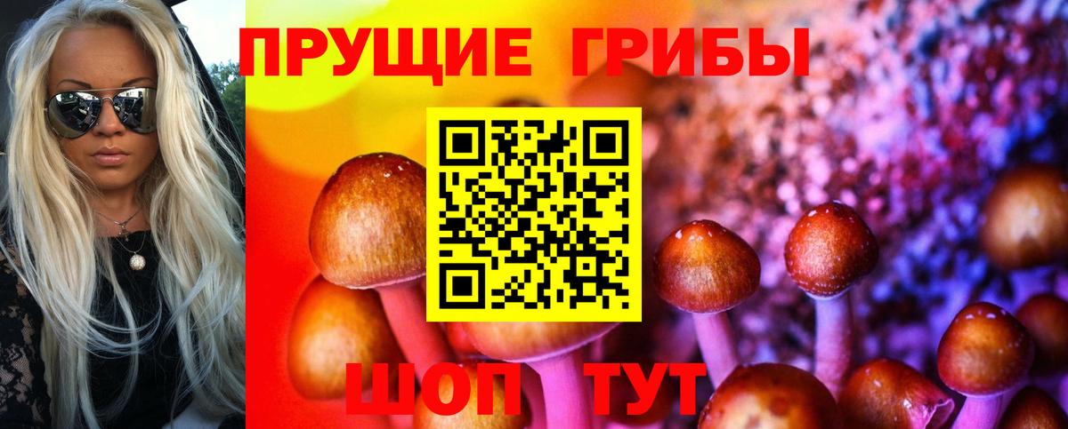 Галлюциногенные грибы мухоморы  Вход с VPN  Новоалтайск 