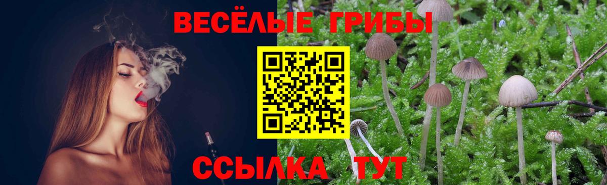 Галлюциногенные грибы Cubensis Новоалтайск